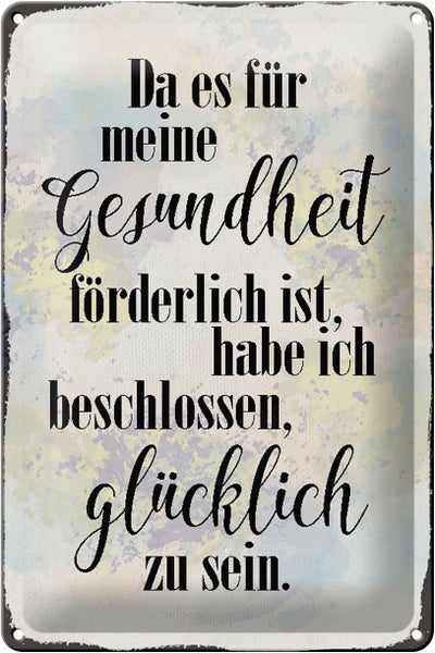 Blechschild Spruch 20x30cm Gesundheit glücklich sein