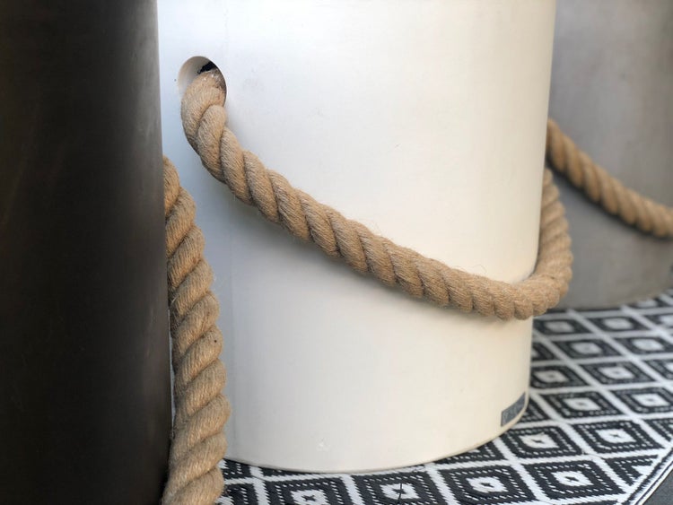 Kängurublume in einem Topf