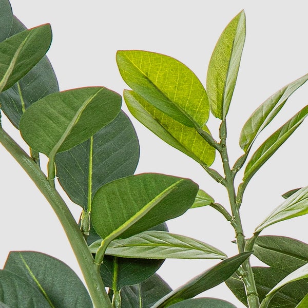 Nahaufnahme der grünen Blätter und Stiele einer künstlichen Zamioculcas Pflanze.