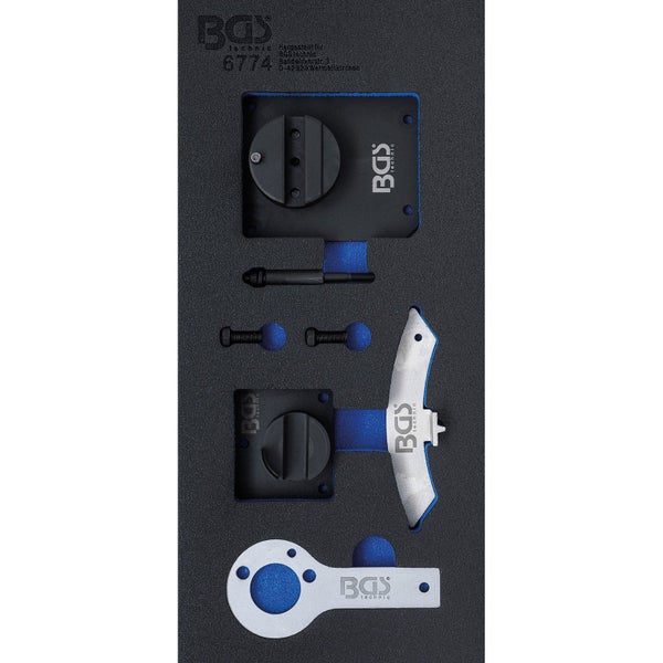 Nahaufnahme von Stockrosenblüten