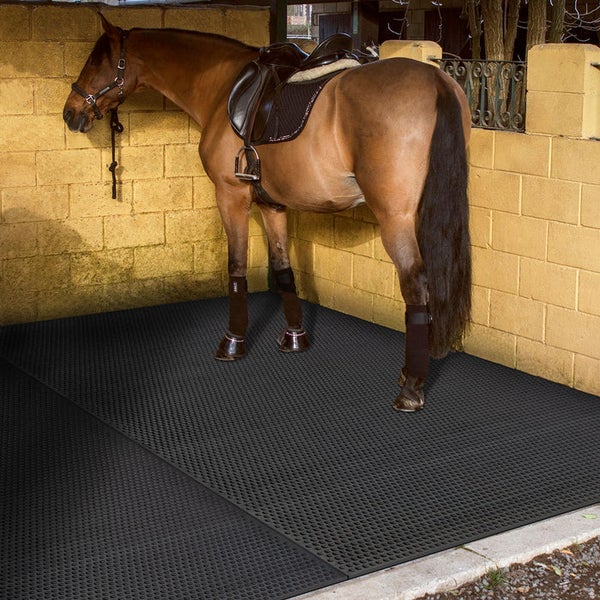 FLOORDIREKT Stallmatte mit Noppen - GW4008 - Drainagematte für Tierhaltung - 183 x 122 cm
