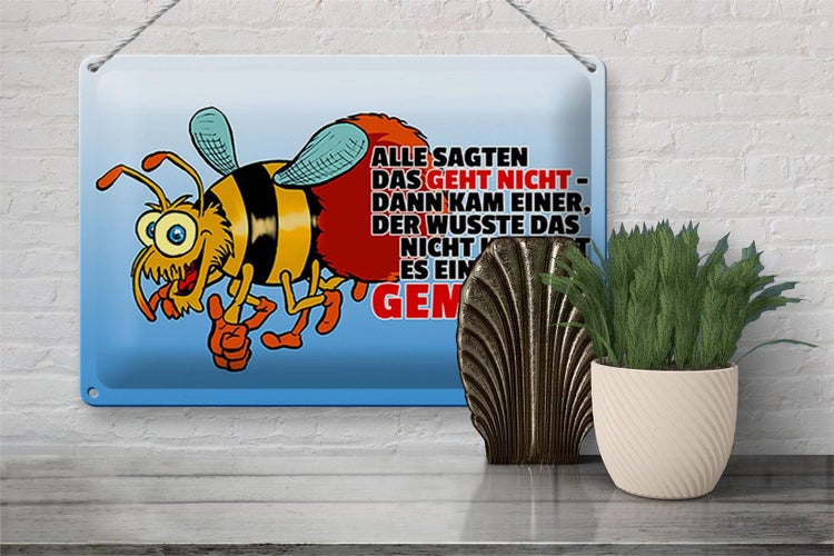 Blechschild Spruch 30x20cm Alle sagten das geht nicht