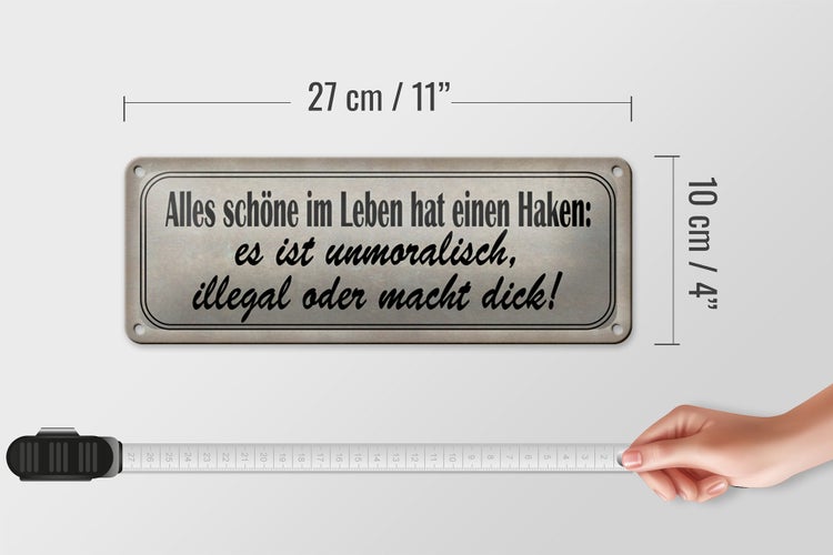 Blechschild Spruch 27x10cm alles schöne hat einen Haken Dekoration