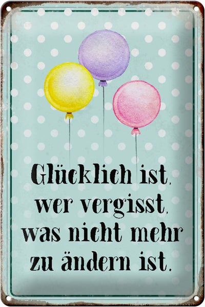 Blechschild Spruch 20x30cm glücklich ist wer vergisst was