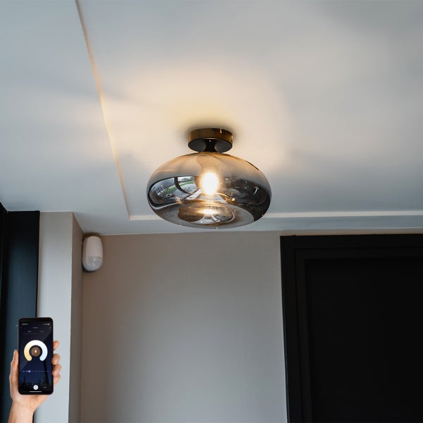 Smarte Deckenleuchte schwarz mit Rauchglas inkl. WLAN P45 - Busa