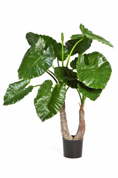 Kunstpflanze Alocasia Calidora Suri, 13 Blätter, grün, 100cm - Künstliche Zimmerpflanzen