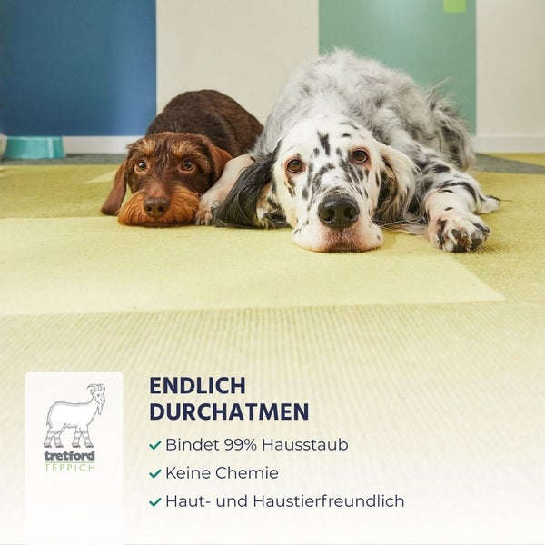 Zwei Hunde auf einem Tretford Teppich. Tretford Logo. Bindet 99 Prozent Hausstaub, chemiefrei, hautfreundlich und haustierfreundlich.