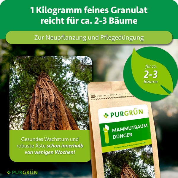 PURGRUEN Mammutbaumduenger Granulat fuer Neupflanzung und Pflegeduengung von 2 bis 3 Baeumen, 1 Kilogramm Beutel.