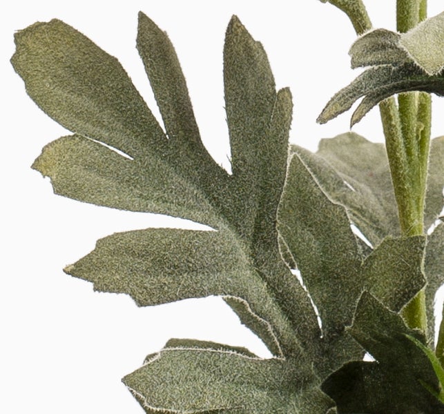 Nahaufnahme eines künstlichen Blattes mit beflockter, samtiger Oberfläche und tief eingeschnittenen Rändern.