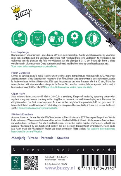 Luciferpflanze Samenpackung mit Aussaat- und Pflegehinweisen