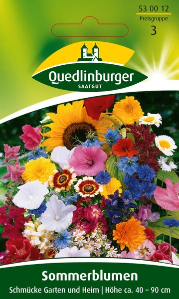 Sommerblumen Schmücke Garten und Heim Samen von Quedlinburger SAATGUT