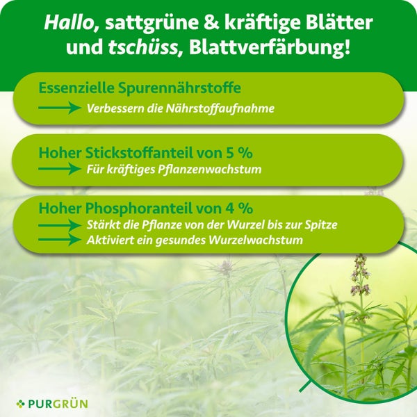 Infografik für Purgrün Pflanzendünger mit Details zu Spurennährstoffen, 5 Prozent Stickstoff und 4 Prozent Phosphor. Purgrün Logo.
