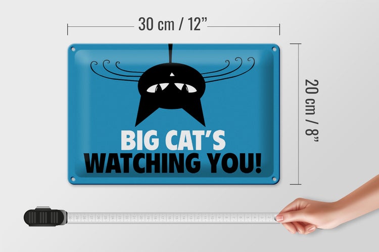 Blechschild Spruch 30x20cm Big cat`s watching you Katze