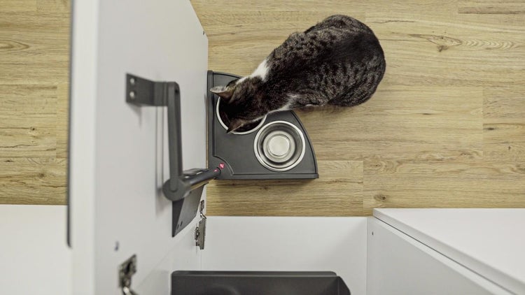Eine Katze frisst aus einer schwarzen Futterstation mit zwei Edelstahlnäpfen, montiert an einem Auszug in einem weißen Küchenschrank.