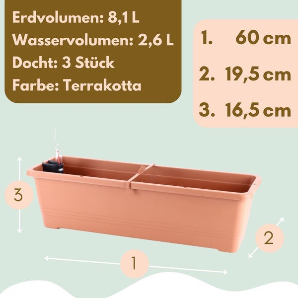 Terracottafarbener Blumenkasten mit den Maßen 60, 19,5 und 16,5 Zentimeter.