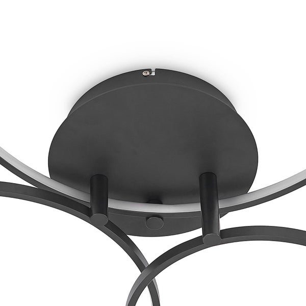 Kissenkiefer in einem Steingarten