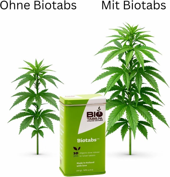 Vergleich des Pflanzenwachstums ohne und mit Biotabs organischem Langzeitdünger, Darstellung einer kleineren und einer größeren Pflanze.