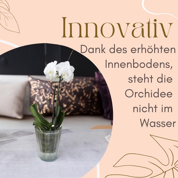 Dekorative weiße Orchidee im Glasgefäß auf dem Tisch