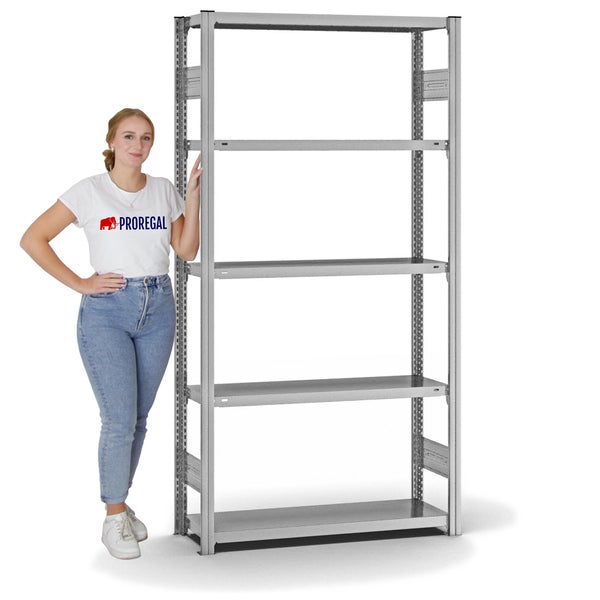 PROREGAL Fachbodenregal Stecksystem T-Profil Light-Duty Grundregal HxBxT 200 x 100 x 30 cm 5 Ebenen Fachlast 150 kg Beidseitig Nutzbar Verzinkt