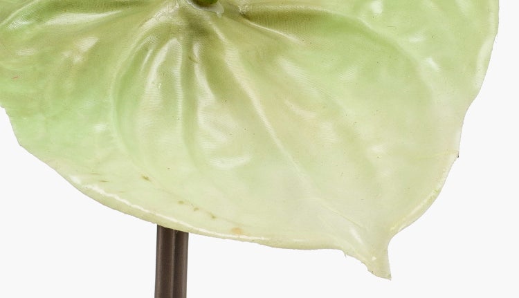 Künstliches Anthuriumblatt in Hellgrün mit braunem Stiel zur Dekoration.