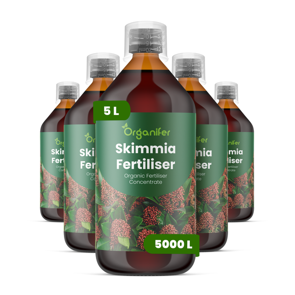 Fünf Flaschen Organifer Skimmia Dünger, organisches Düngerkonzentrat, jeweils 5 Liter, Organifer Logo.
