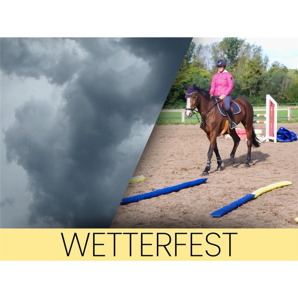 Symbol für wetterfest: Reiter auf einem Pferd im Freien neben einer dunklen Wolkenwand.