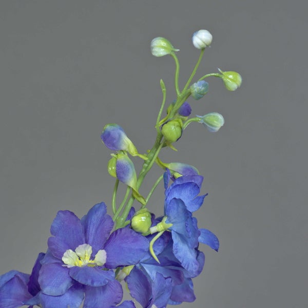 Künstlicher Rittersporn mit blauen und violetten Blüten an einem langen Stiel.