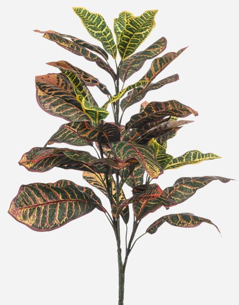 Detailaufnahme eines Blattes der Zimmerpflanze Croton Codiaeum variegatum mit markanten gelben und roten Blattadern.