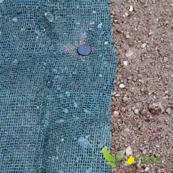 Unkrautvlies auf dem Boden befestigt mit einem Erdnagel im Garten