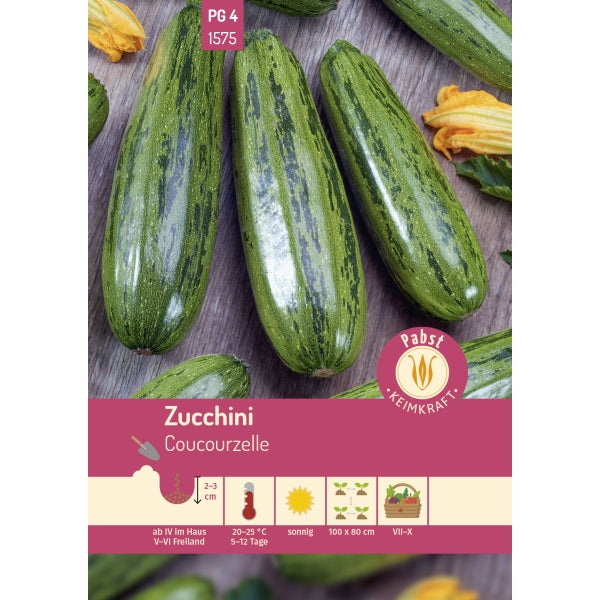 Zucchini wüchsig & rankenlos Coucourzelle Samen von Pabst Keimkraft