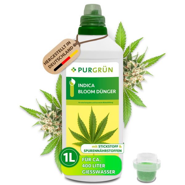 Purgrün Indica Bloom Flüssigdünger Konzentrat, 1 Liter Flasche mit Dosierkappe, reicht für circa 400 Liter Gießwasser für gesundes Wachstum.