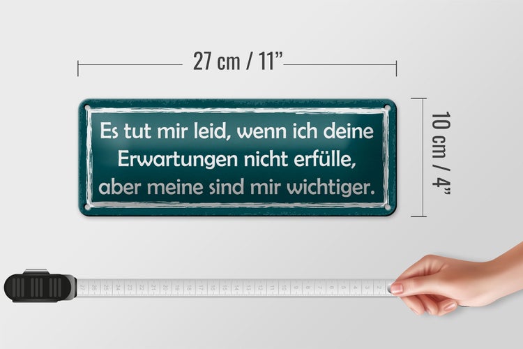 Blechschild Spruch 27x10cm deine Erwartungen nicht erfülle Dekoration