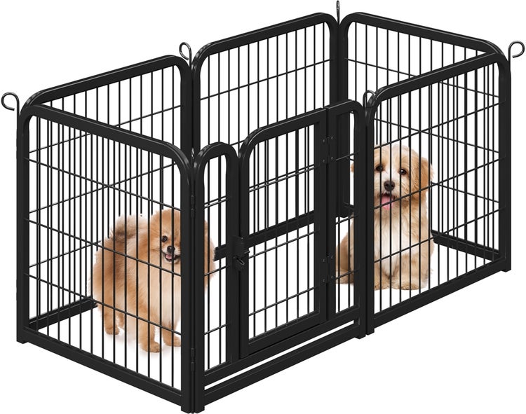 Hundegitter mit zwei Hunden darin.