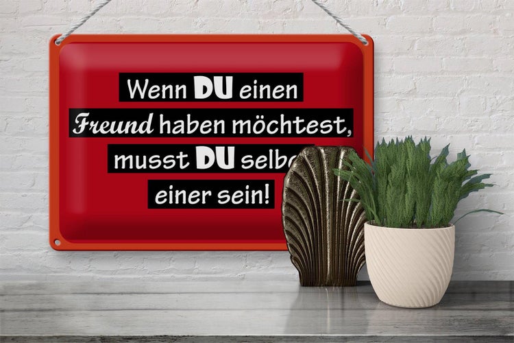Blechschild Spruch 30x20cm wenn du einen Freund haben möchtest