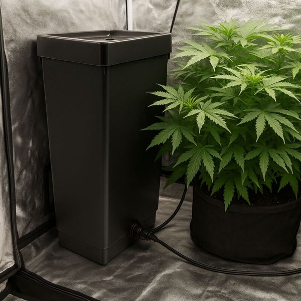 Automatisches Bewässerungssystem mit schwarzem Wassertank und Schlauchverbindung zu einer Pflanze in einem Growzelt.