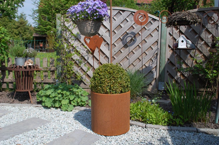 Zylindrischer Pflanzkübel in Rostoptik mit einer Buchsbaumkugel in einem organisierten Garten mit Holzzaun, Kiesweg und Dekoration.