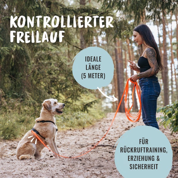 Frau trainiert Hund mit 5 Meter langer Schleppleine im Wald für Rückruftraining, Erziehung und Sicherheit