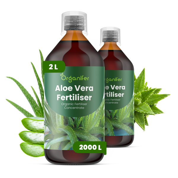 Zwei Flaschen Organifer Aloe Vera Dünger Konzentrat zur Pflanzenpflege