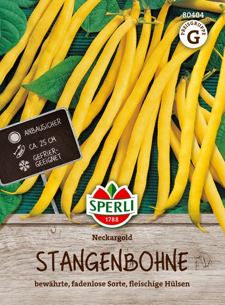 Sperli Saatgut Stangenbohne Neckargold fadenlos fleischig mit Anbausicherheit und Frostbeständigkeit