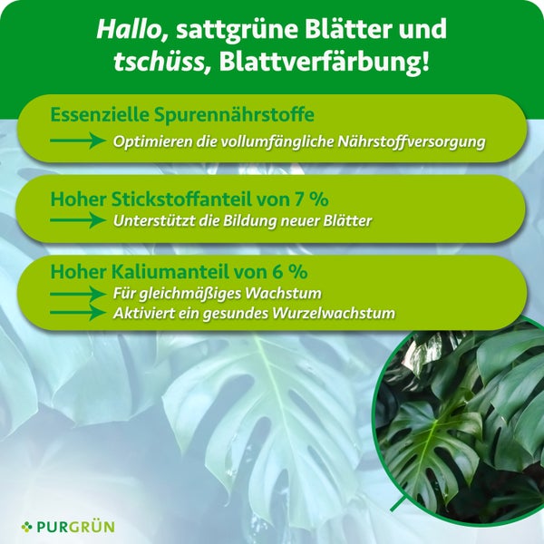 Infografik zum Purgrün Pflanzendünger mit Angaben zu Spurennährstoffen, Stickstoff und Kalium für gesundes Blattwachstum bei Zimmerpflanzen.