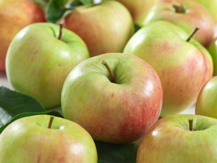 Malus 'James Grieve', Apfelbaum, 150–200 cm, saftig-süß