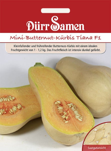 Dürr Samen Logo, Samenpackung für Mini-Butternut-Kürbis Tiana F1 mit Abbildung von aufgeschnittenem Kürbis und Saatgutansicht.