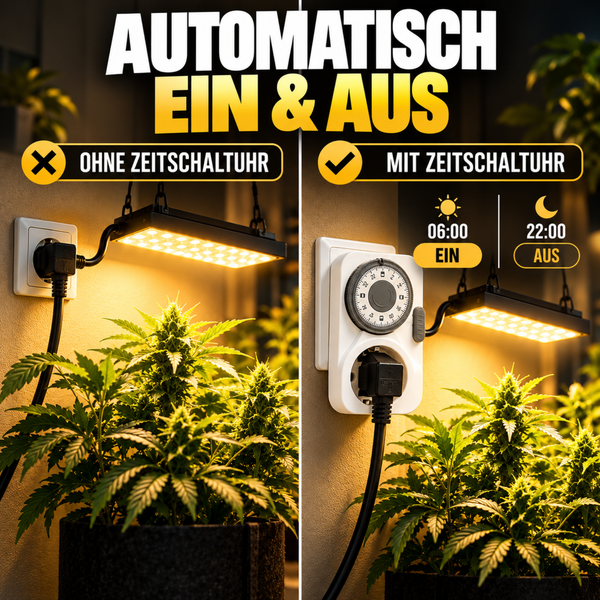 Vergleichsbild: Pflanzenbeleuchtung ohne und mit Zeitschaltuhr für automatisches Ein und Ausschalten der Pflanzenlampe.