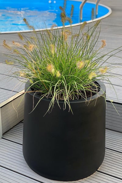 Schwarzer Pflanzkübel mit Ziergras auf einer Terrasse aus Holzdielen neben einem Pool.