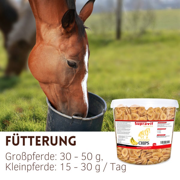 Pferd frisst Bananenchips der Marke Supravit aus einem Eimer.