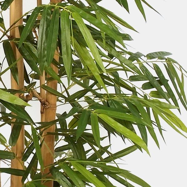 Künstliche Hängepflanze mit kleinen grünen Blättern an dünnen Ranken für die Innendekoration.