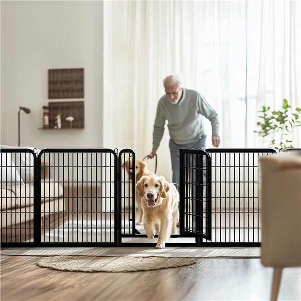 Schwarzes Hundegitter im Wohnzimmer mit einer Person, die einen Golden Retriever führt