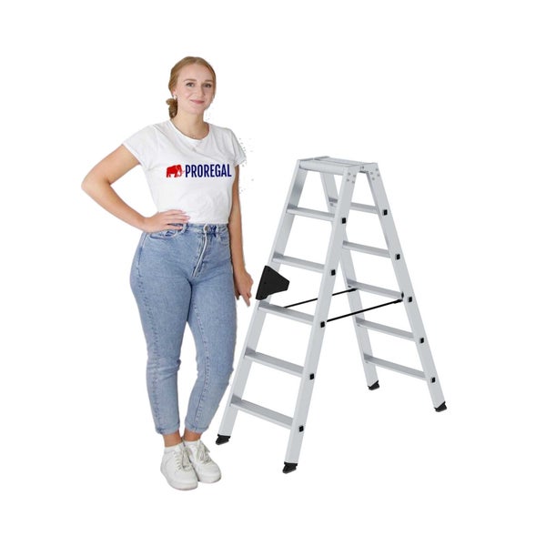 PROREGAL Stufen-Stehleiter Beidseitig Begehbar 2 x 6 Stufen