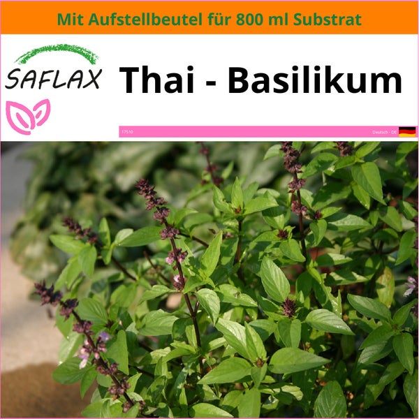 SAFLAX Garden in the bag - Thai - Basilikum - Ocimum basilicum - 200 Samen - Mit Anzuchtsubstrat im praktischen, selbst aufstellenden Beutel