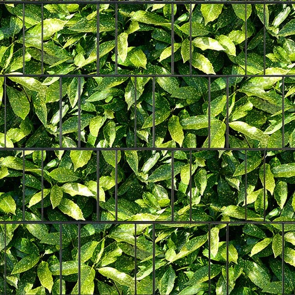 Ansicht eines Metallzauns mit Pflanzenbewuchs als Sichtschutz
